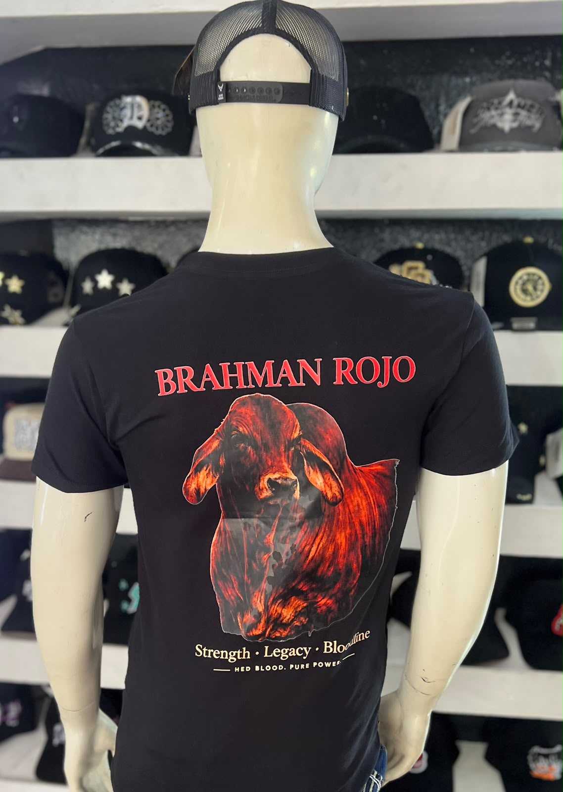 PLAYERAS HERMANOS DEL VALLE (BRAHMAN ROJO)